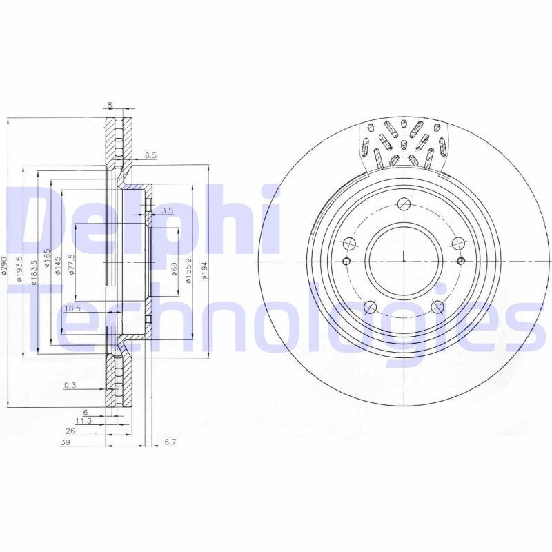 DELPHI BG4034: Piduriketas Ø: 290mm, õhutusega, Ø: 290mm, õlitatud