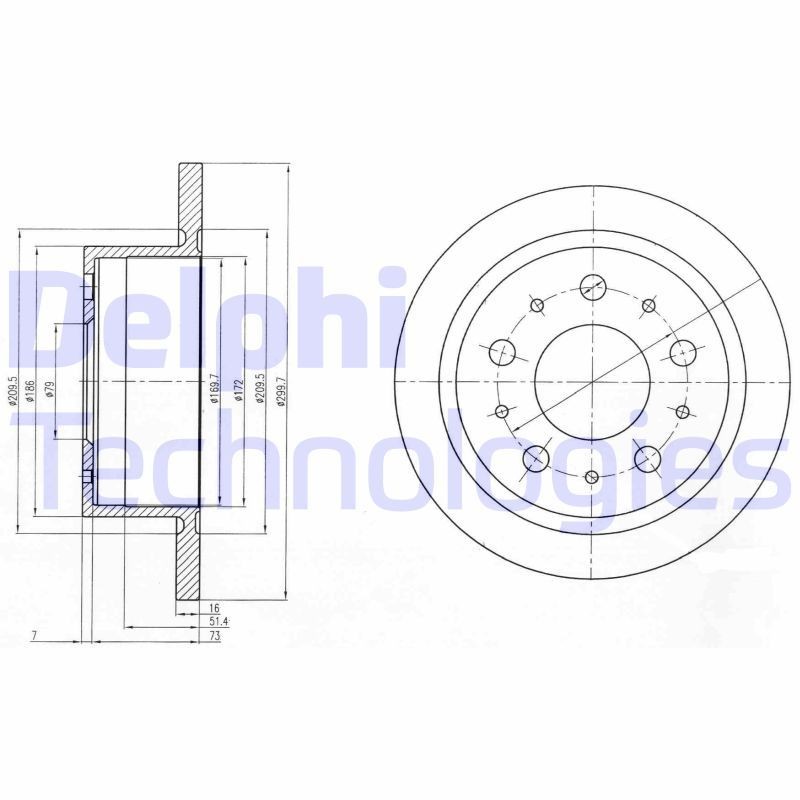 DELPHI BG4062: Piduriketas Ø: 300mm, täis, Ø: 300mm, õlitatud