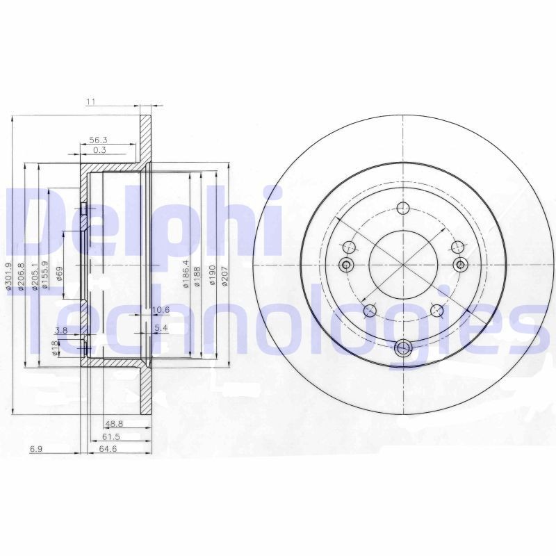 DELPHI BG4136: Piduriketas Ø: 302mm, täis, Ø: 302mm, õlitatud