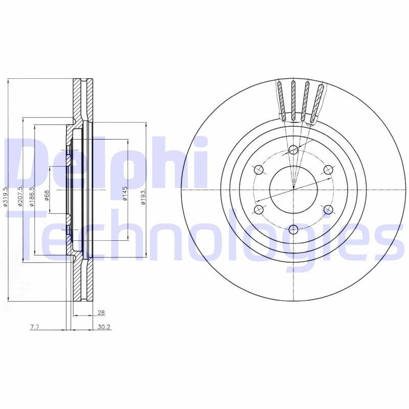 DELPHI BG4176: Piduriketas Ø: 320mm, õhutusega, Ø: 320mm