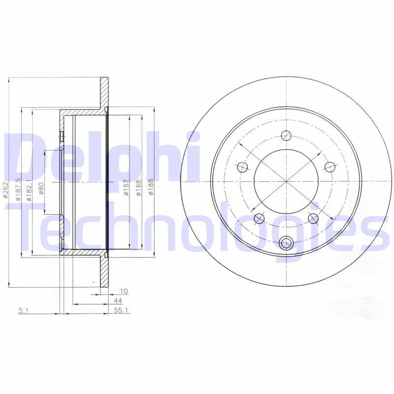DELPHI BG4198: Stabdžių diskas Ø: 262mm, visiškai, Ø: 262mm, padengta alyva