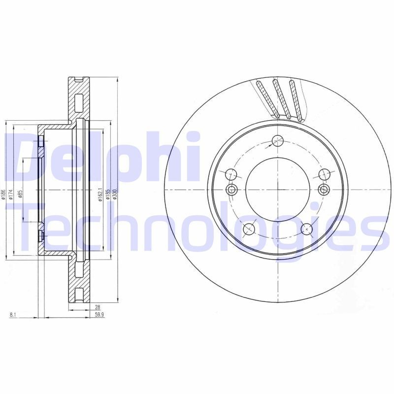 DELPHI BG4207: Piduriketas Ø: 300mm, õhutusega, Ø: 300mm, õlitatud