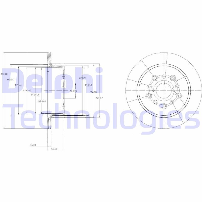 DELPHI BG4216: Piduriketas Ø: 310mm, õhutusega, Ø: 310mm, õlitatud