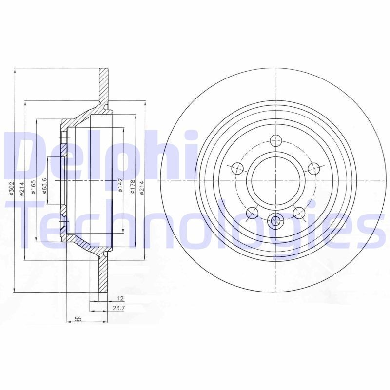 DELPHI BG4238: Piduriketas Ø: 302mm, täis, Ø: 302mm