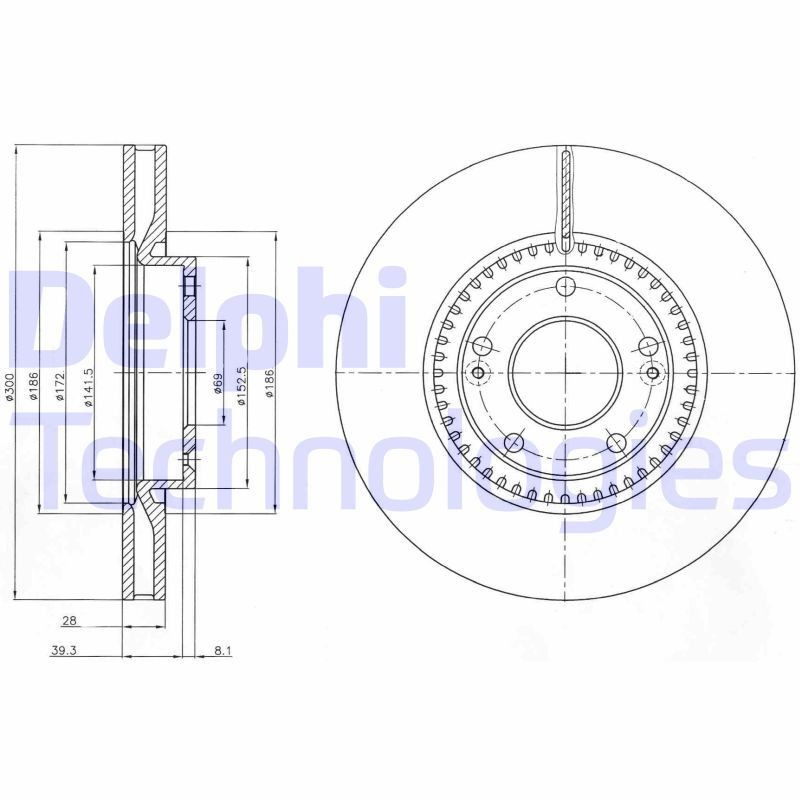 DELPHI BG4251: Stabdžių diskas Ø: 300mm, ventiliuojama, Ø: 300mm