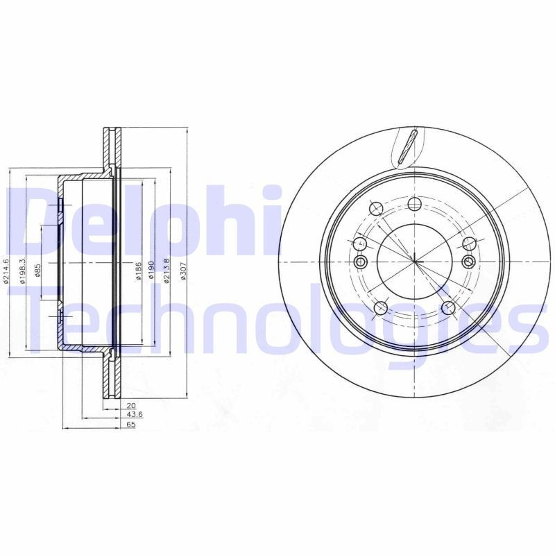 DELPHI BG4273: Bremseskive Ø: 307mm, ventilert, Ø: 307mm, oljet