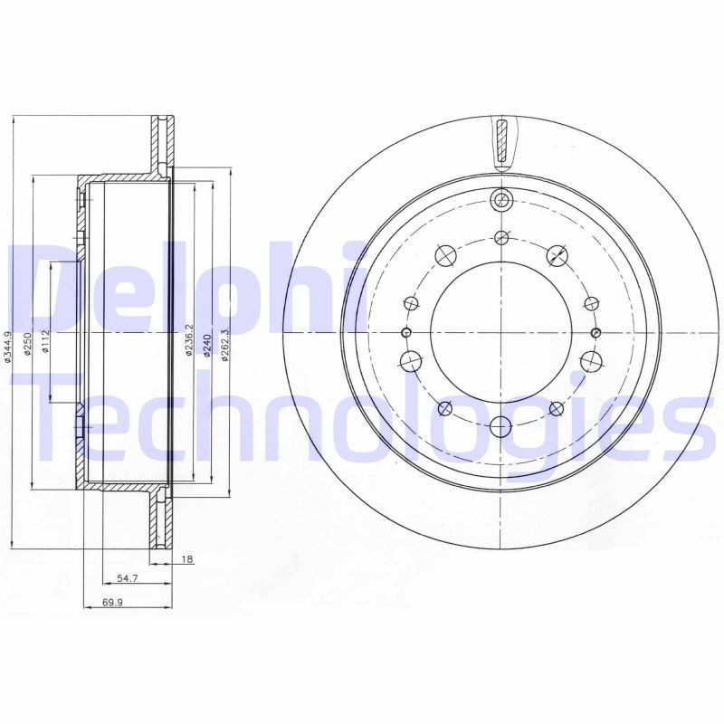 DELPHI BG4275: Bremžu diski Ø: 345mm, ventilējams, Ø: 345mm, ieeļļots
