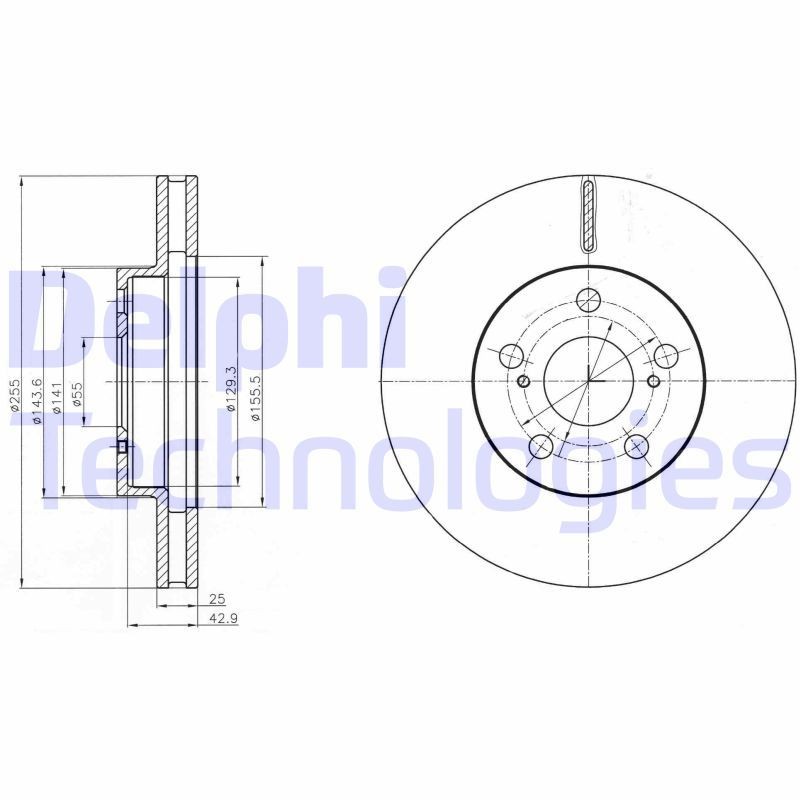 DELPHI BG4290: Piduriketas Ø: 255mm, õhutusega, Ø: 255mm, õlitatud