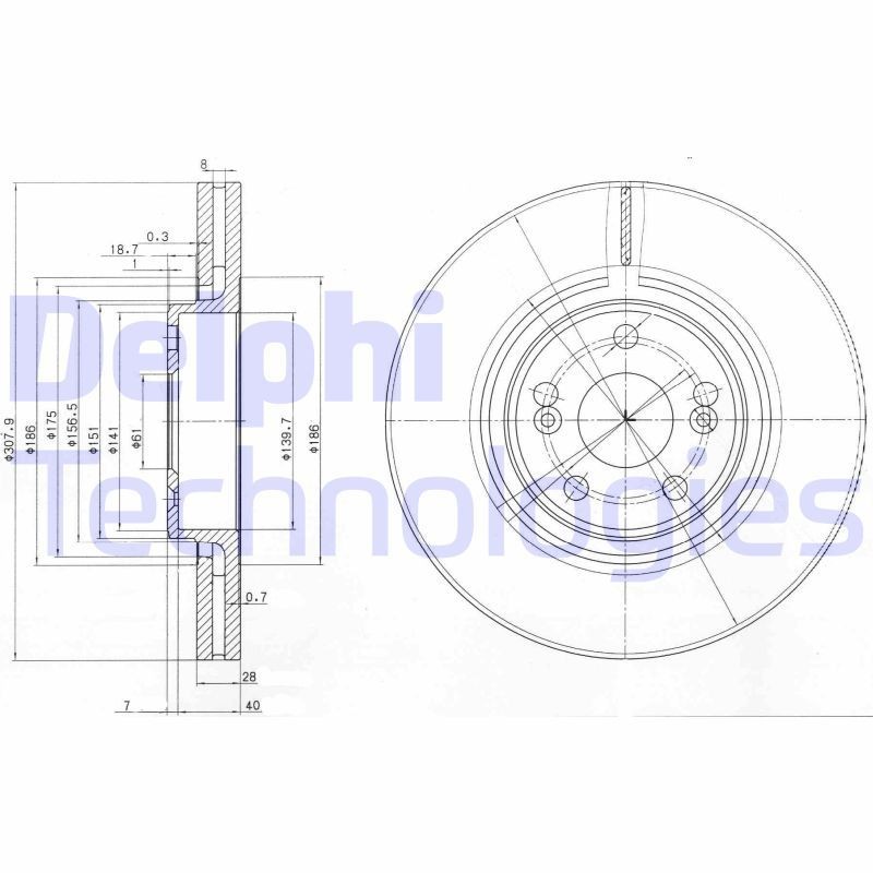 DELPHI BG9016: Piduriketas Ø: 308mm, õhutusega, Ø: 308mm, õlitatud