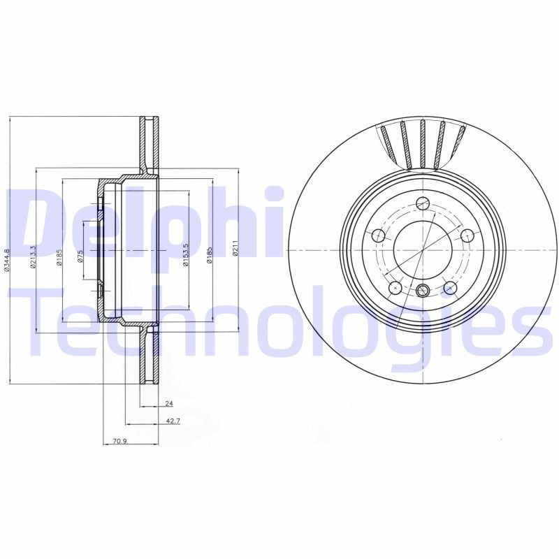 DELPHI BG9064: Stabdžių diskas Ø: 345mm, ventiliuojama, Ø: 345mm, padengta alyva