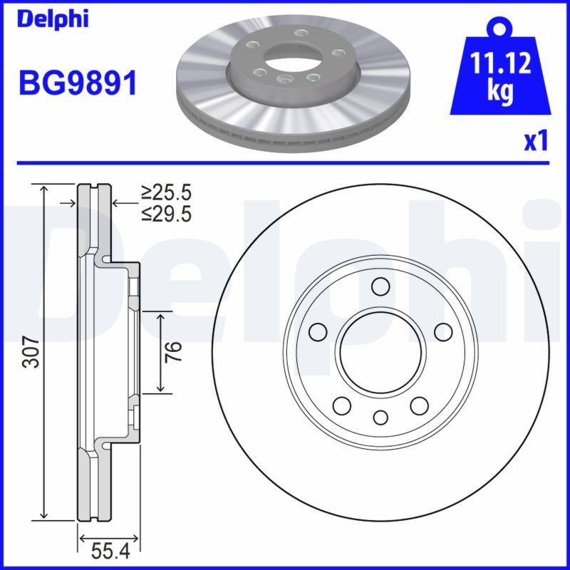 DELPHI BG9891: Piduriketas Ø: 307mm, õhutusega, Ø: 307mm, õlitatud