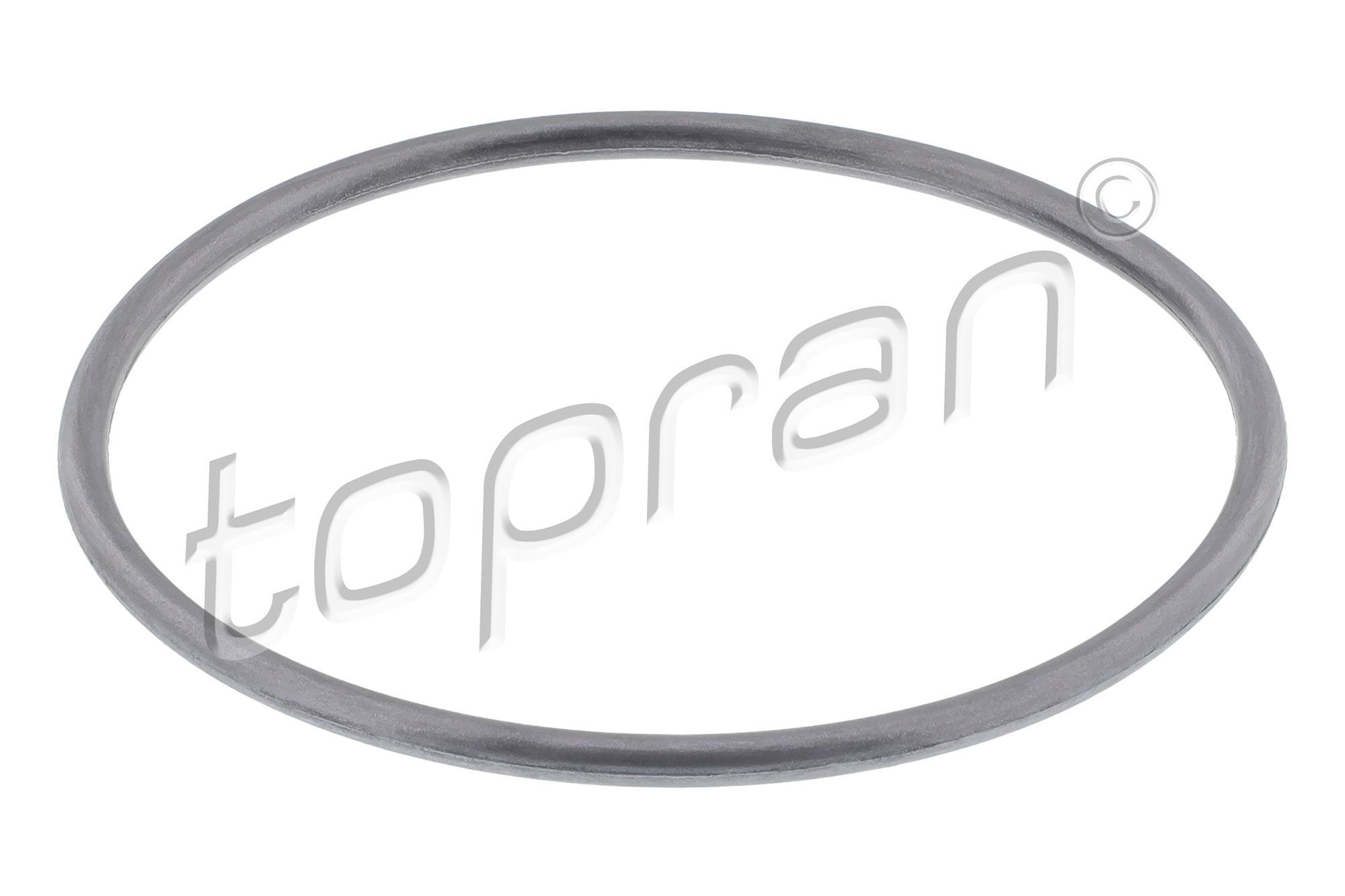 TOPRAN 100 572: Garnitura, pompa de apa