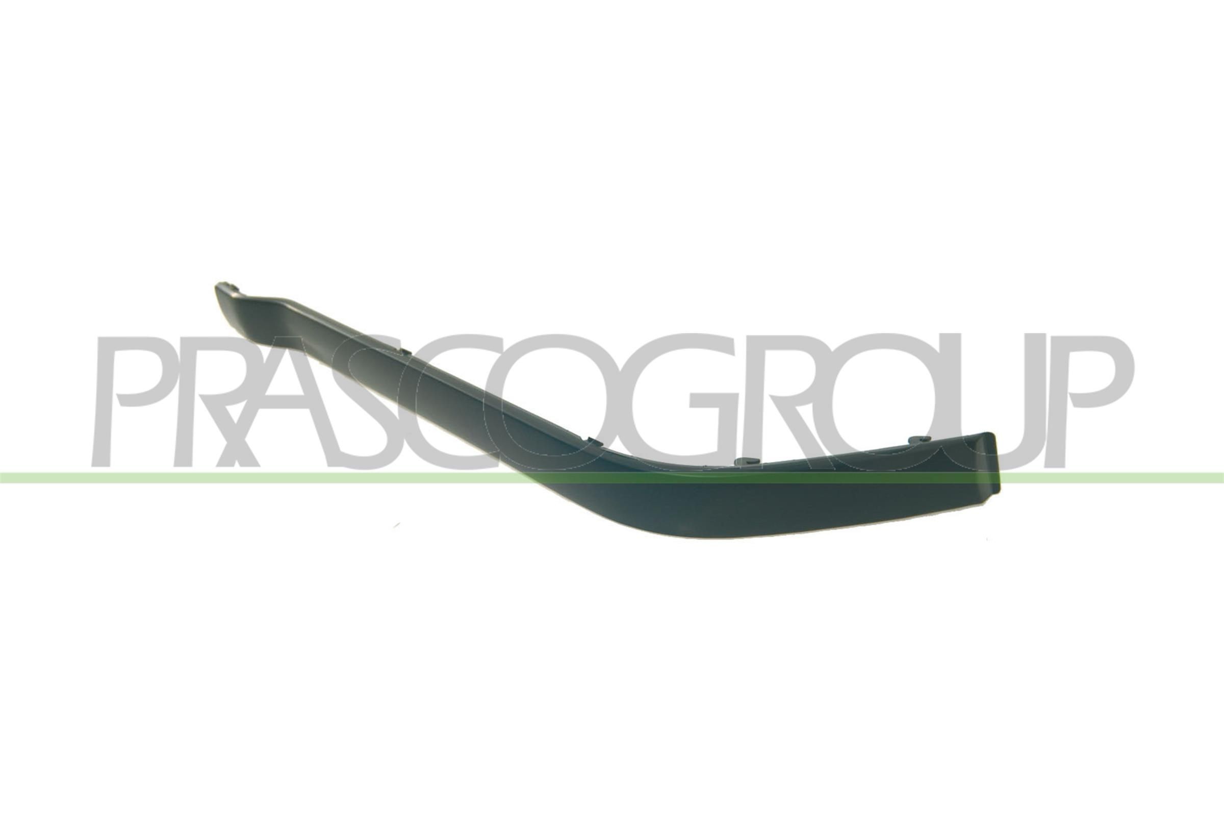 PRASCO BM0161243: Banda de protectie, bara de protectie fata dreapta