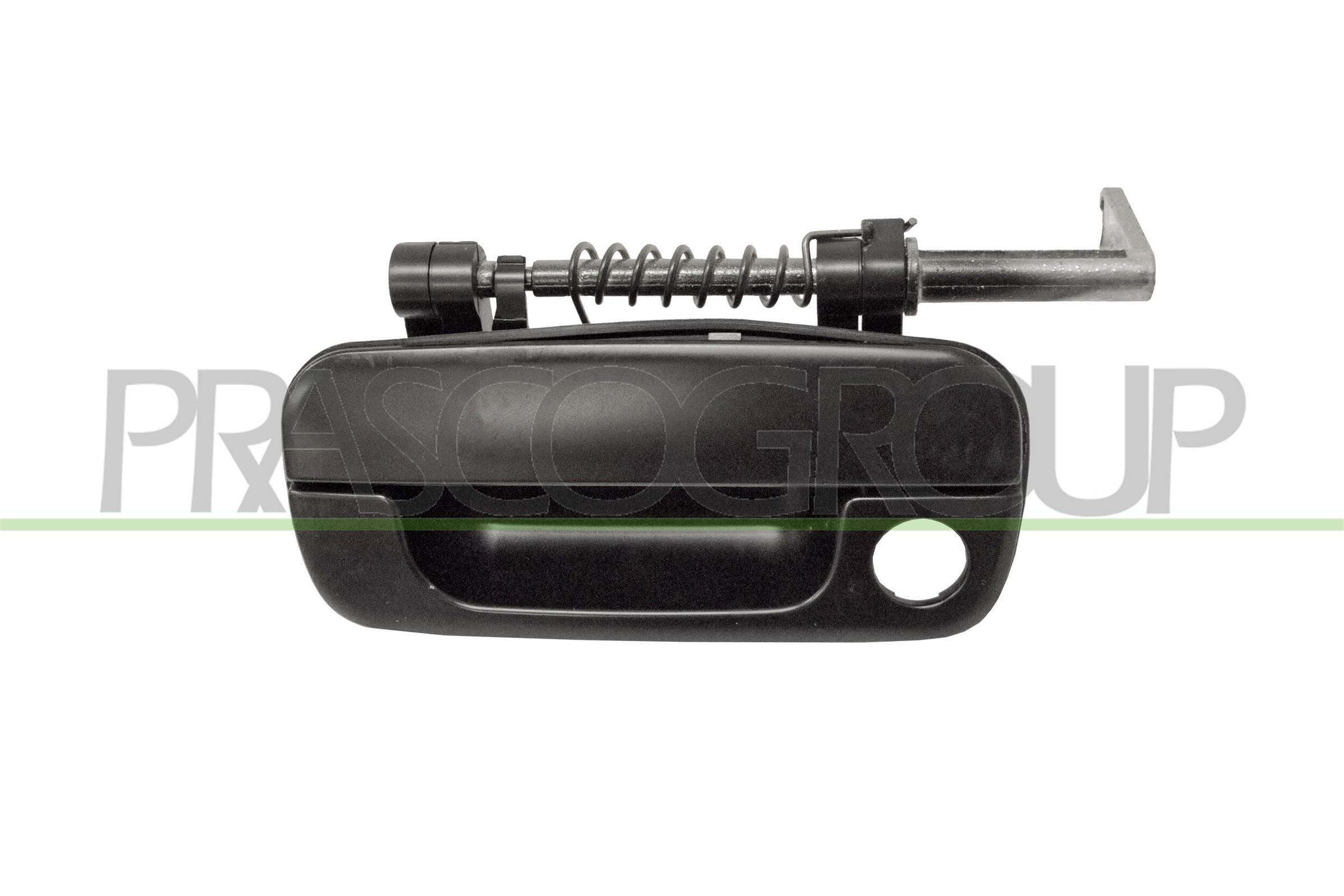 PRASCO PG4243210: Esiosa detailiring