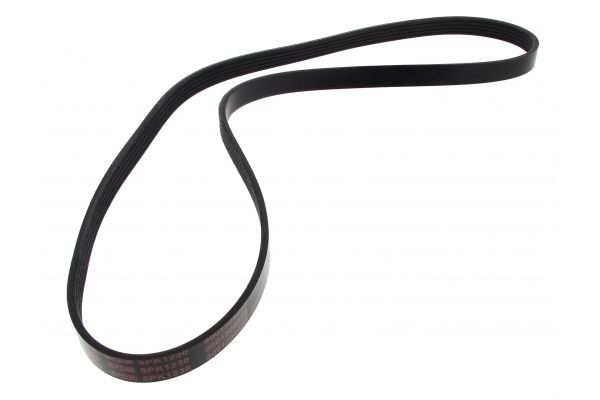 MAPCO 251230: Curea transmisie cu caneluri 1230mm, Numar nervuri: 5