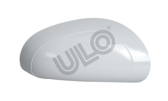 ULO 3021006: Korpus, välispeegel