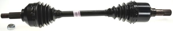 SPIDAN 25226: Planetara 697mm, cu piulita