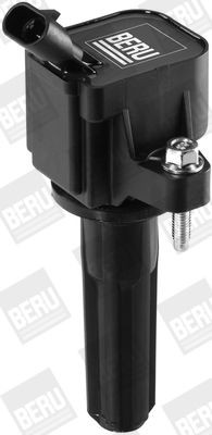 BERU ZSE133: Süütepool 12V, koos elektroonikaga