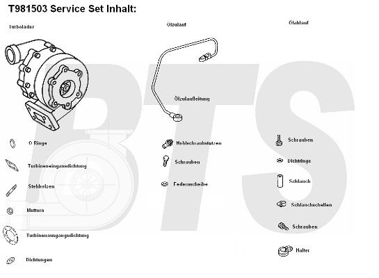 BTS TURBO T981503: Turbocompresseur droit, avec aspiration d'huile, avec joints, avec kit de montage, TURBO SERVICE SET ORIGINAL