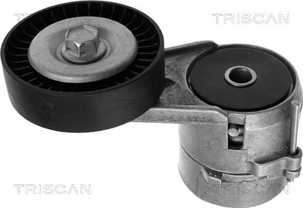 TRISCAN 8641 243005: Spennarm, vifterem