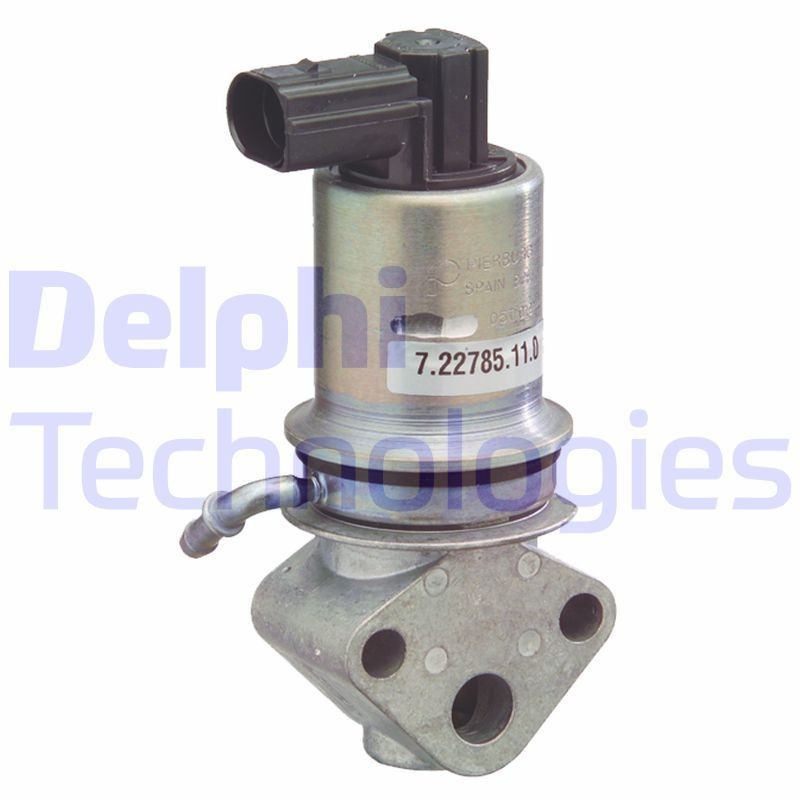 DELPHI EG10292-12B1: EGR-klapp