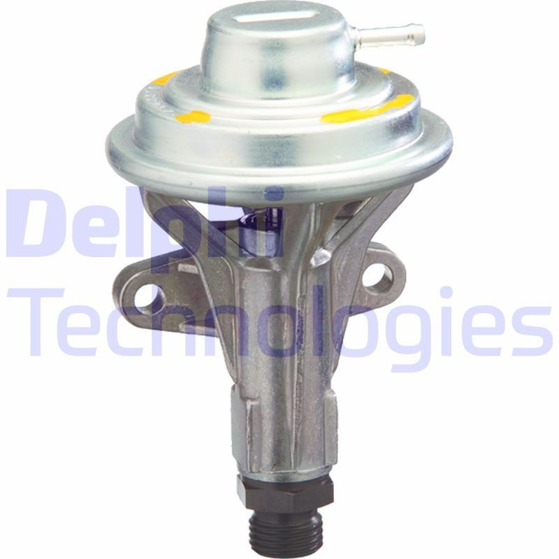 DELPHI EG10318-12B1: EGR-klapp