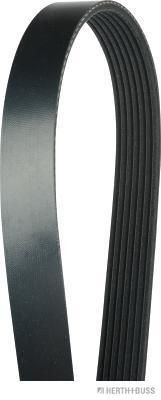 HERTH+BUSS JAKOPARTS J1071795: Multireim 1795mm, Ribbeantall: 7