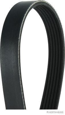 HERTH+BUSS JAKOPARTS J1061453: Multireim 1453mm, Ribbeantall: 6