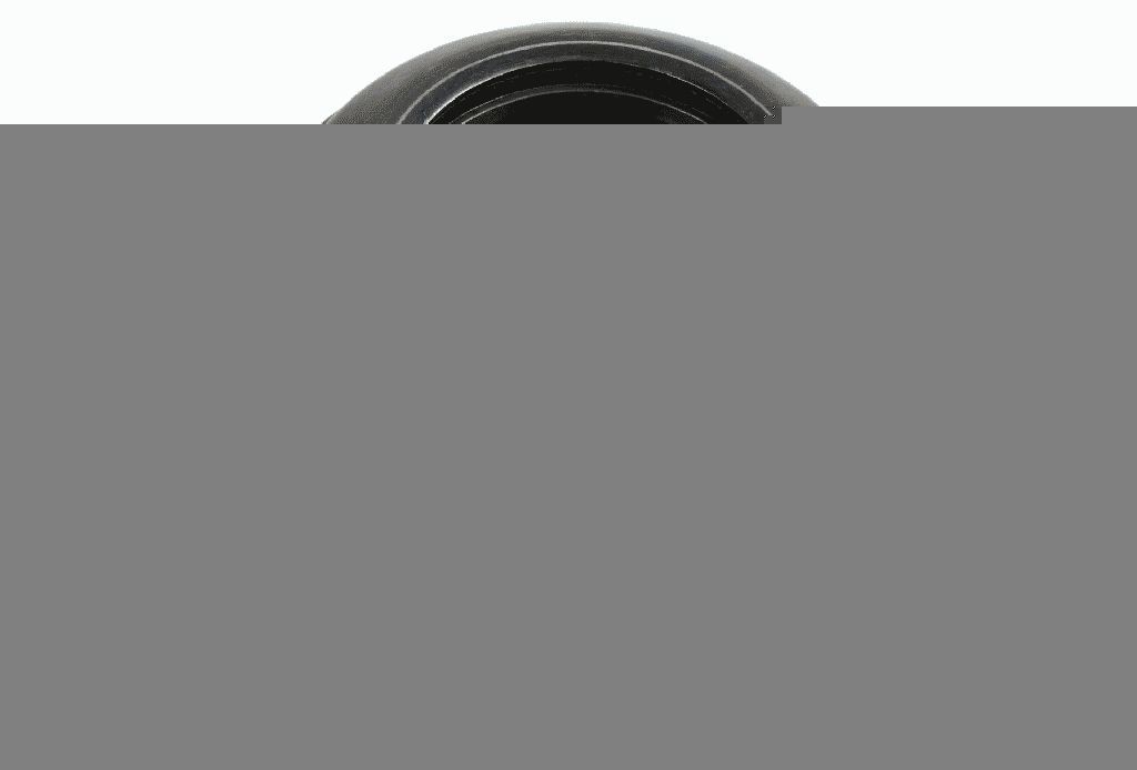 SACHS PERFORMANCE 763151 837002: Survelaager Performance
