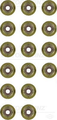 REINZ 12-38539-01: Set garnituri, ax supape