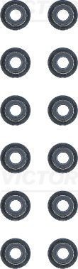 REINZ 12-53129-02: Set garnituri, ax supape