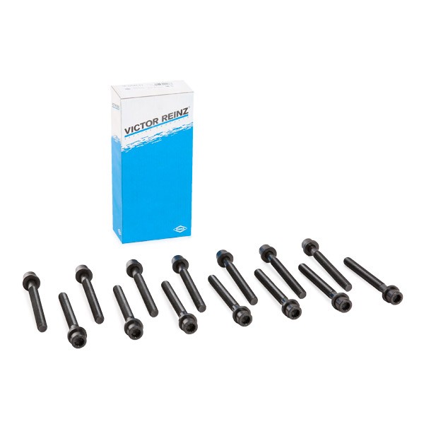REINZ 14-32047-03: Klapikaanekruvikomplekt 110mm, M12