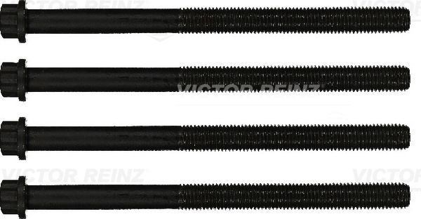 REINZ 14-32069-01: Set surub, chiulasa 210mm, M15