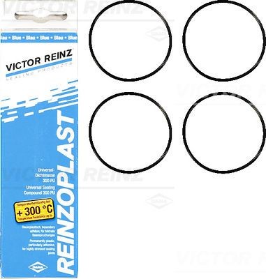 REINZ 15-76741-01: Jeu de joints d'étanchéité, couvercle de culasse