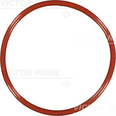 REINZ 40-76541-00: Inel de etansare