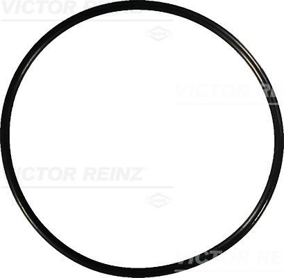 REINZ 40-76741-00: Tihend, klapikaan