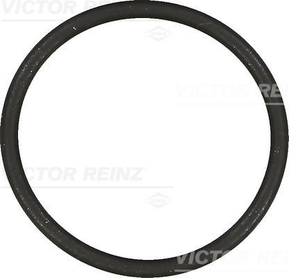 REINZ 40-76854-00: Garnitura, galerie admisie FPM (cauciuc fluor)