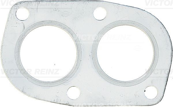 REINZ 71-21608-10: Tarpiklis, išleidimo kolektorius