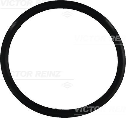 REINZ 71-31649-00: Garnitura, capac supape