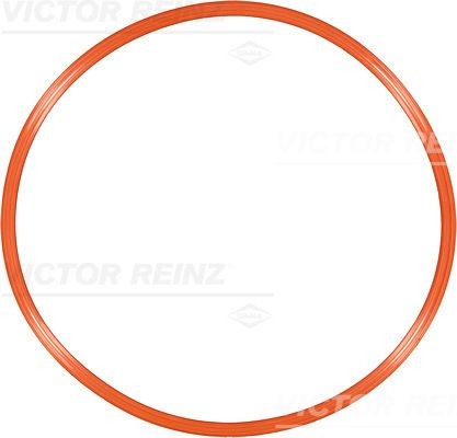 REINZ 71-33931-00: Těsnění, kryt hlavy válce