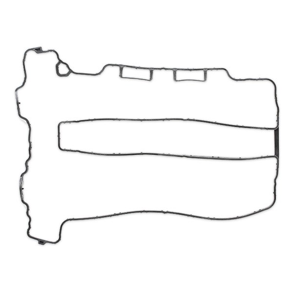 REINZ 71-35888-00: Tihend, klapikaan