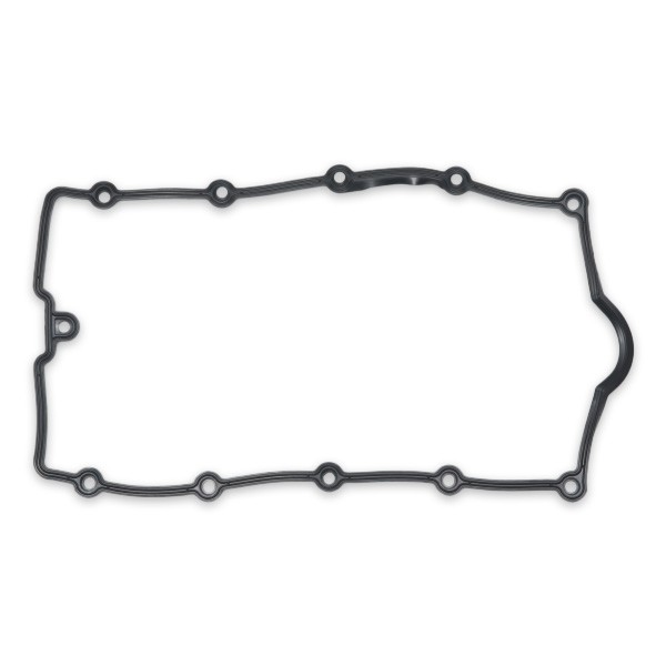 REINZ 71-36041-00: Garnitura, capac supape