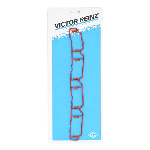 REINZ 71-36072-00: Garnitura, galerie admisie
