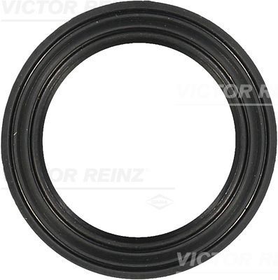 REINZ 71-37341-00: Etansare, terminal bujie