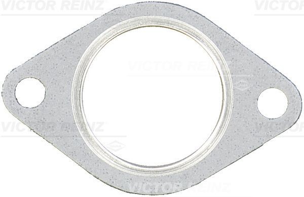 REINZ 71-53943-00: Tarpiklis, išleidimo kolektorius