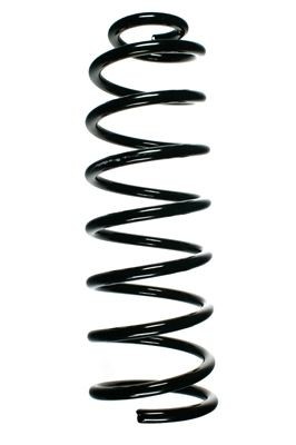 SPIDAN 49566: Arc spiral puntea spate