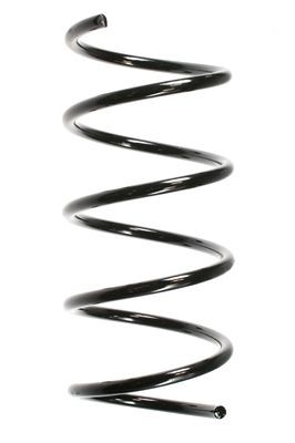 SPIDAN 49720: Arc spiral punte fata