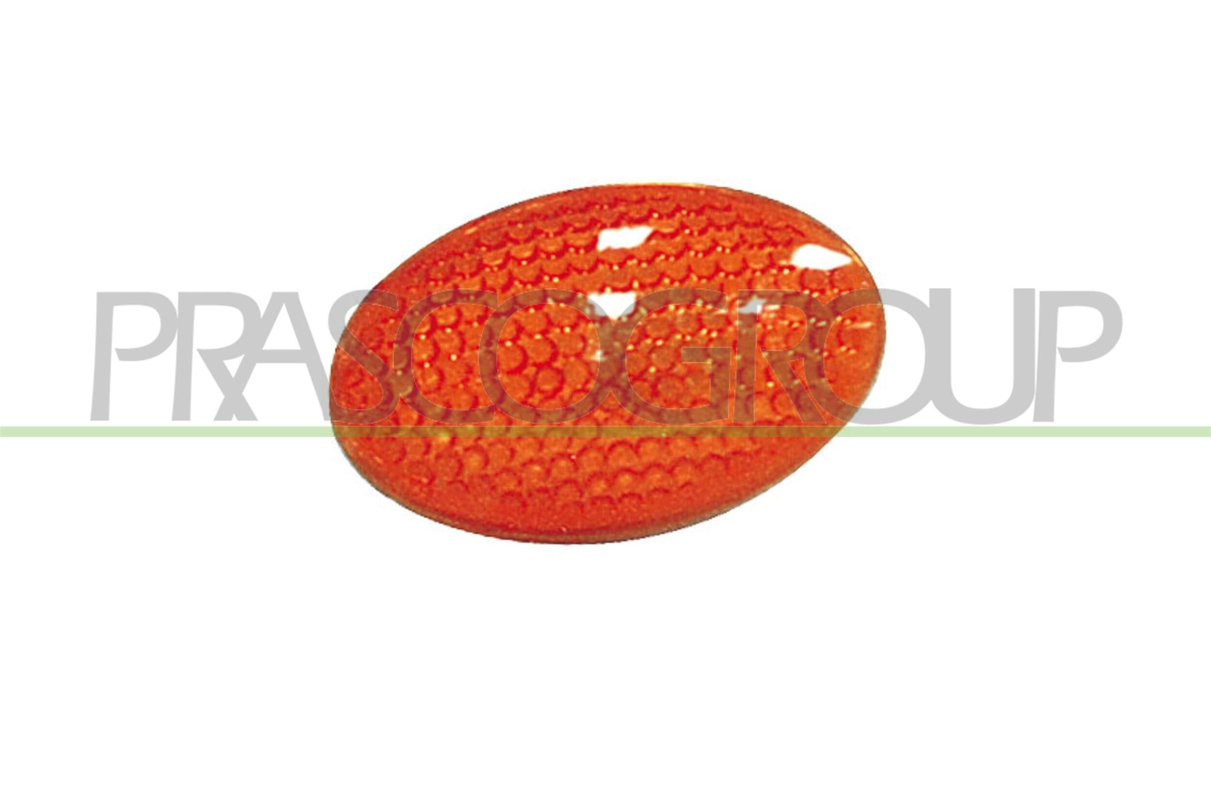 PRASCO FD0504039: Clignotant côté conducteur ou passager, installation latérale, jaune, sans porte-lampe