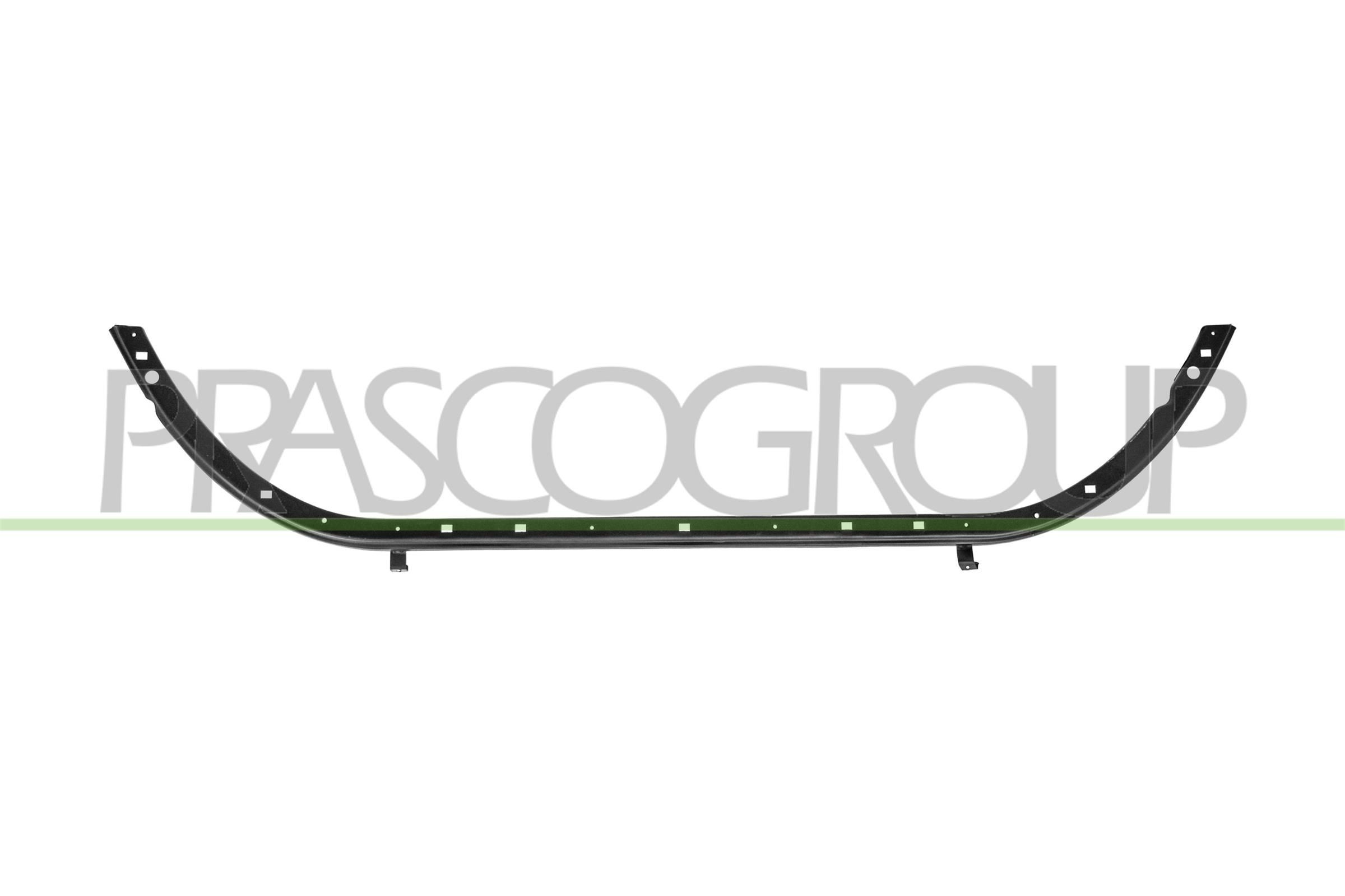 PRASCO FT9301620: Suport, tampon deasupra, fata
