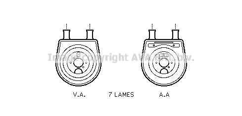 PRASCO HY3154: Radiator ulei, ulei motor